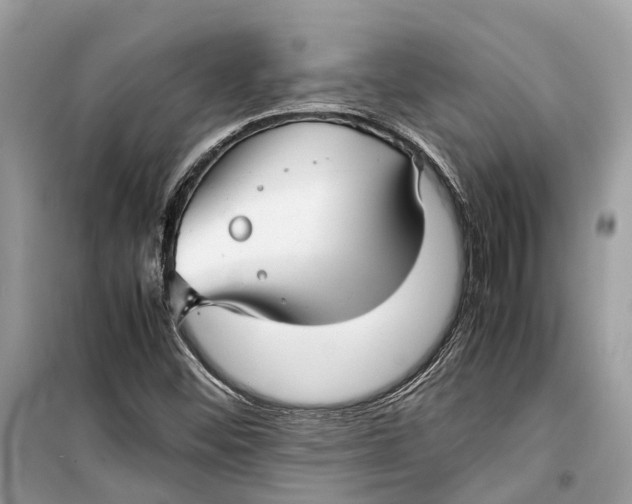 X0000099311452200805231353