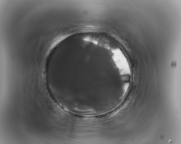 X0000099311453200805231353