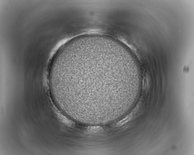 X0000099311454200805231353