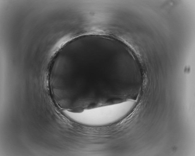 X0000099311455200805231353