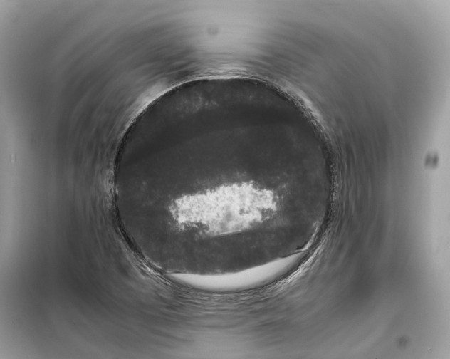 X0000099311457200805231353