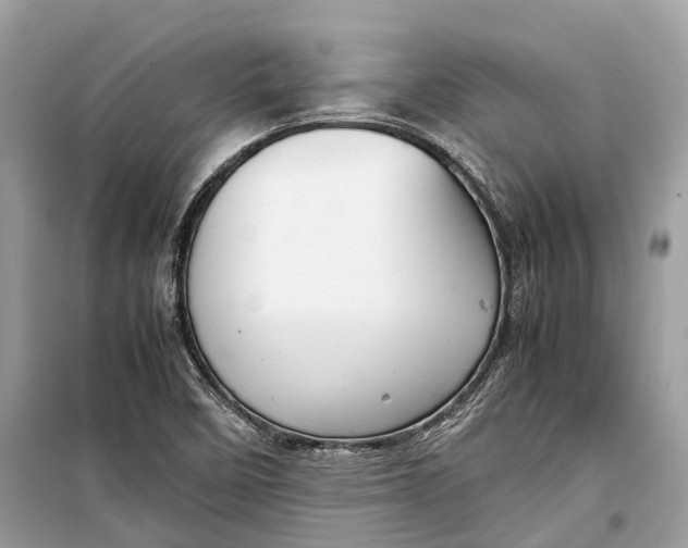 X0000099311458200805231353