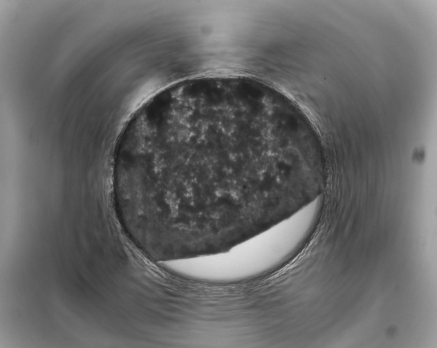 X0000099311459200805231353