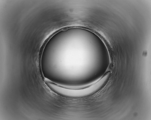 X0000099311460200805231353