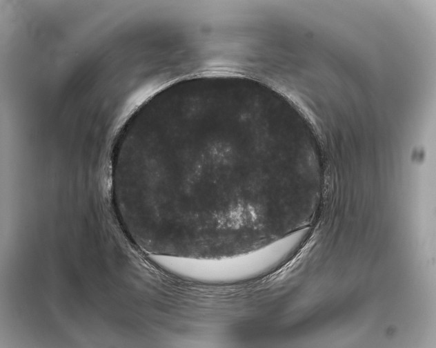 X0000099311461200805231353