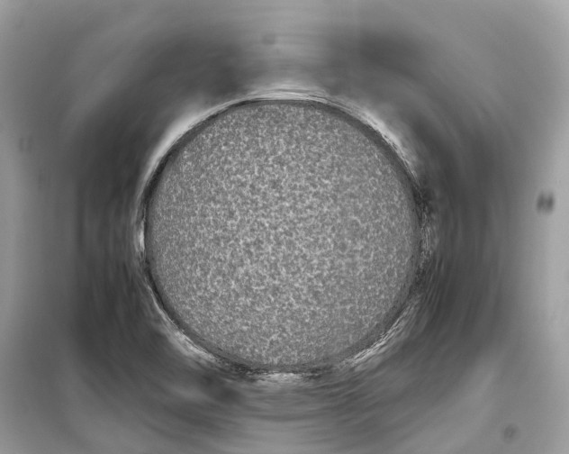 X0000099311462200805231353