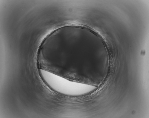 X0000099311463200805231353