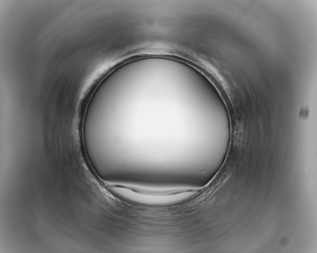 X0000099311464200805231353