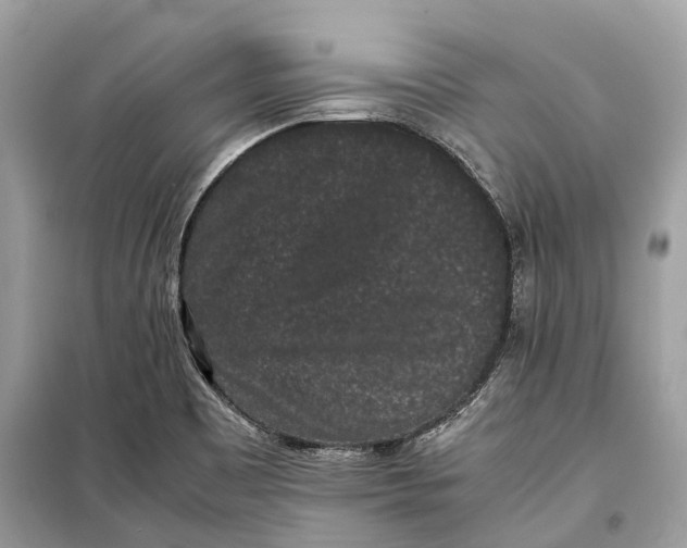 X0000099311465200805231353