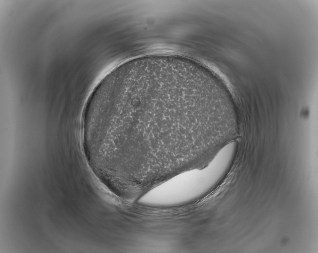 X0000099311467200805231353