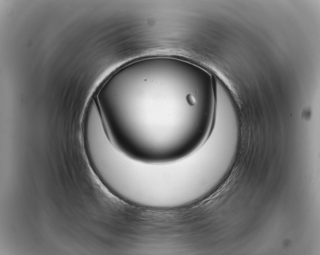 X0000099311468200805231353