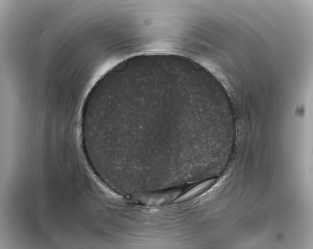 X0000099311469200805231353