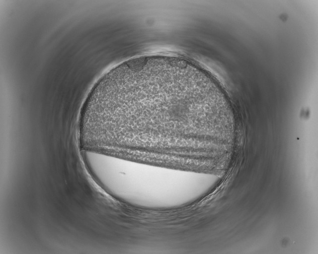 X0000099311471200805231353