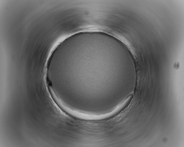 X0000099311472200805231353