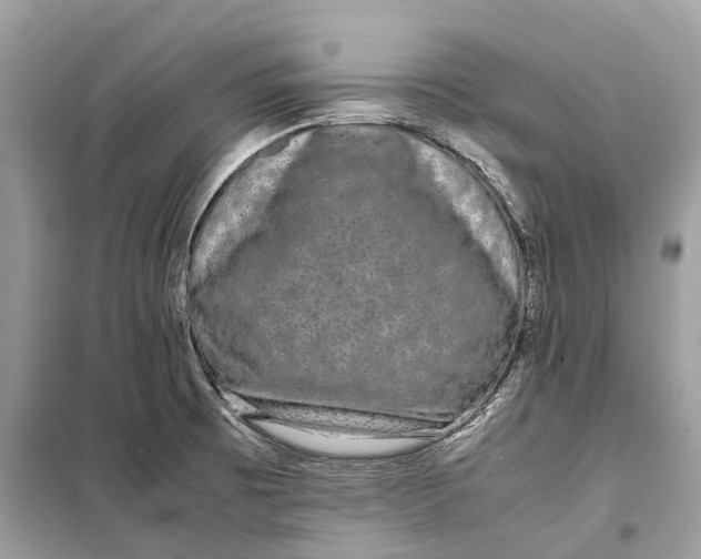 X0000099311473200805231353