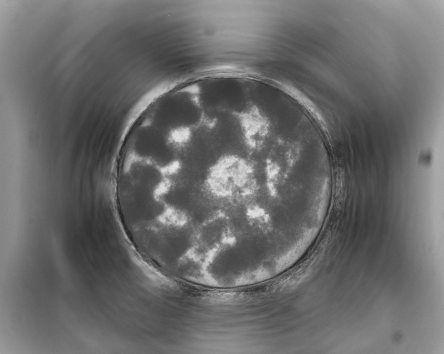 X0000099311474200805231353