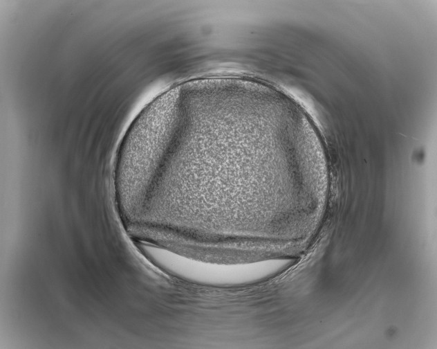 X0000099311475200805231353