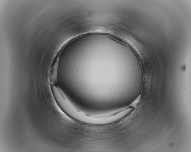 X0000099311476200805231353