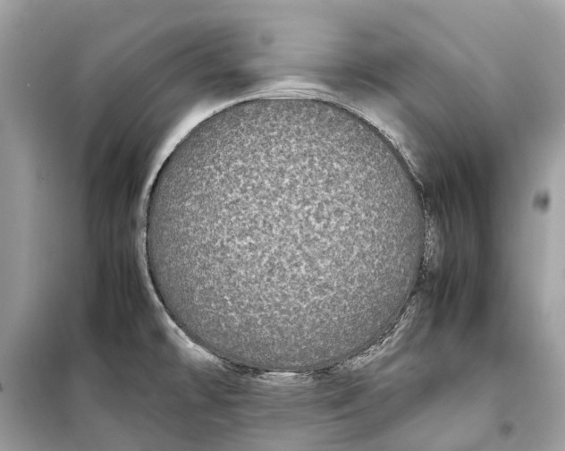 X0000099311478200805231353