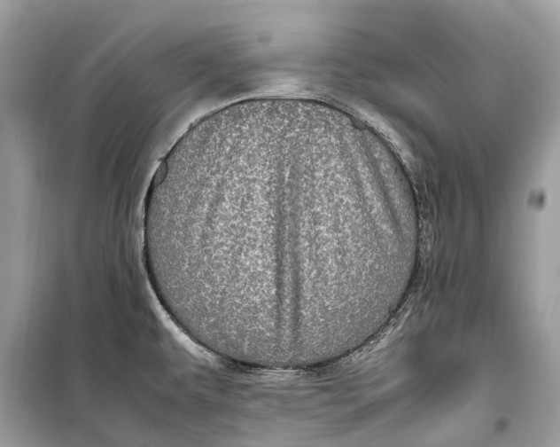 X0000099311479200805231353