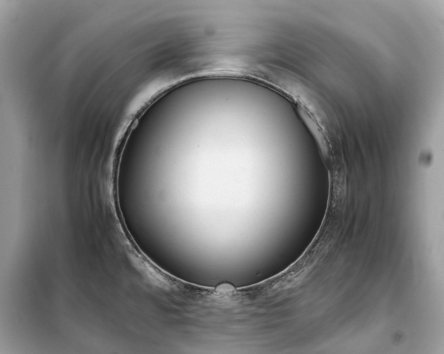 X0000099311480200805231353