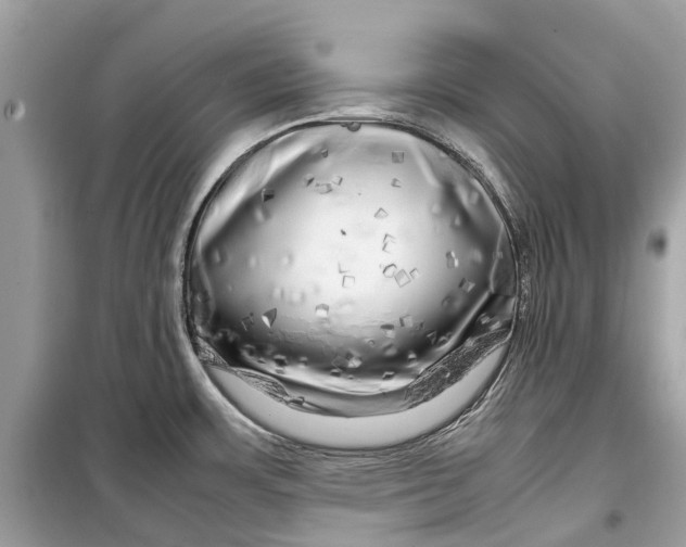 X0000099311483200805231352