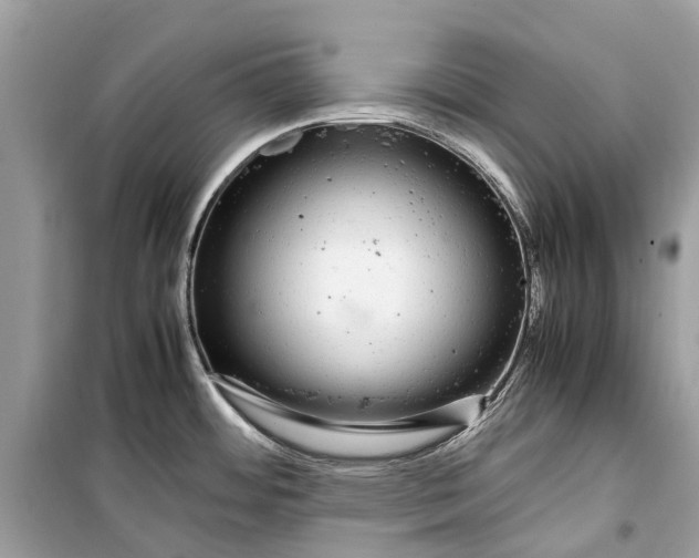 X0000099311484200805231352