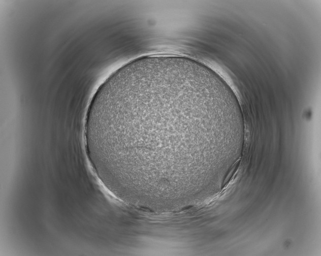 X0000099311485200805231352