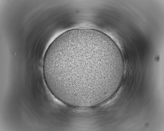 X0000099311486200805231352