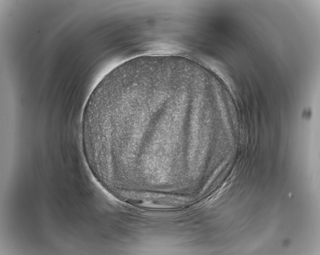 X0000099311487200805231352