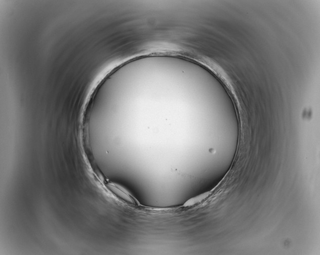 X0000099311488200805231352