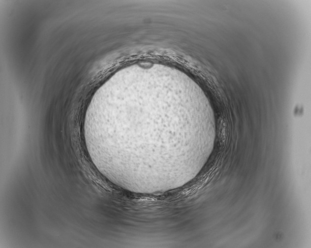 X0000099311489200805231352