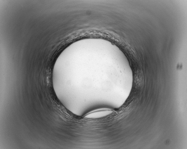 X0000099311490200805231352