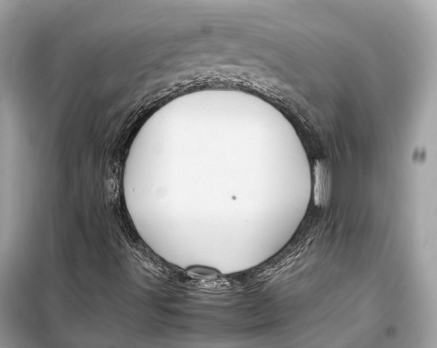 X0000099311491200805231352