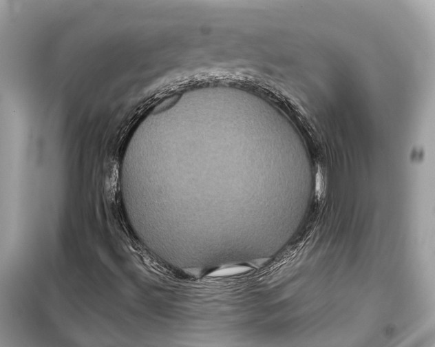 X0000099311492200805231352