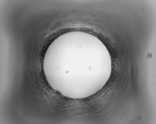 X0000099311493200805231352