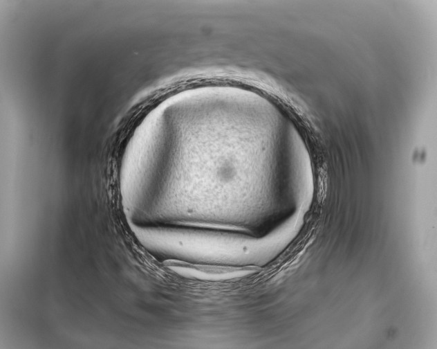 X0000099311494200805231352