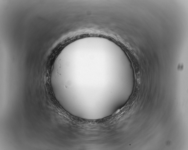 X0000099311495200805231352