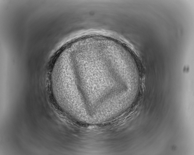 X0000099311496200805231352