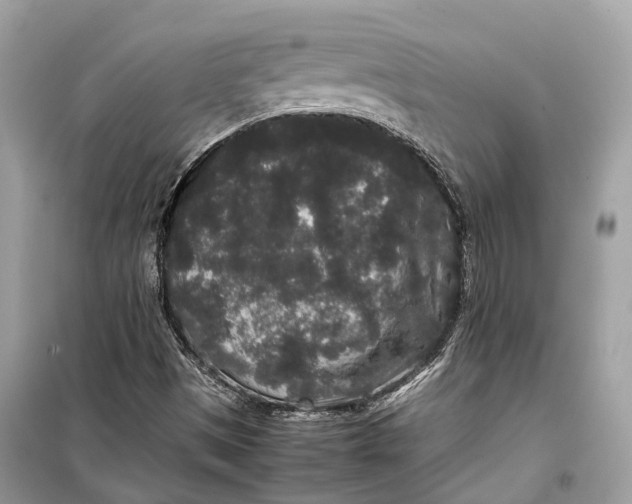 X0000099311497200805231352