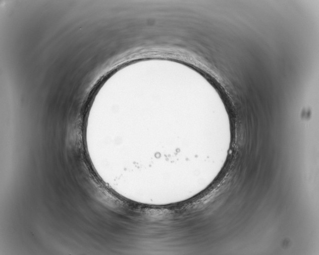 X0000099311498200805231352