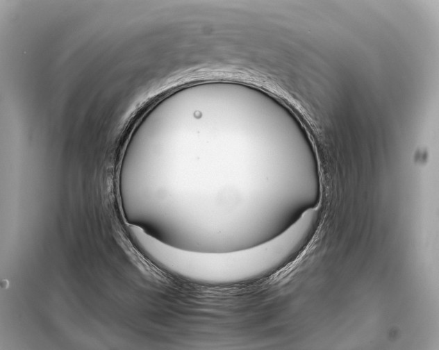 X0000099311499200805231352