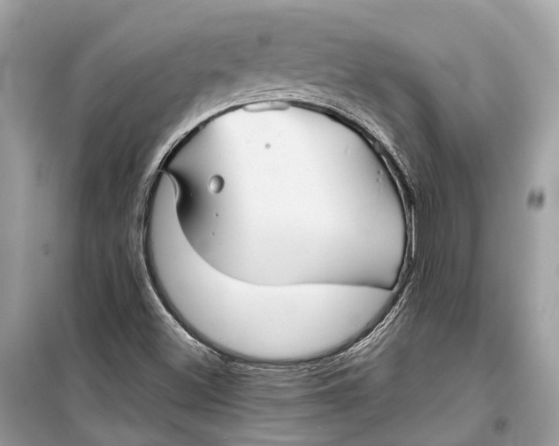 X0000099311500200805231352