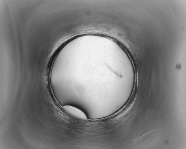 X0000099311501200805231352