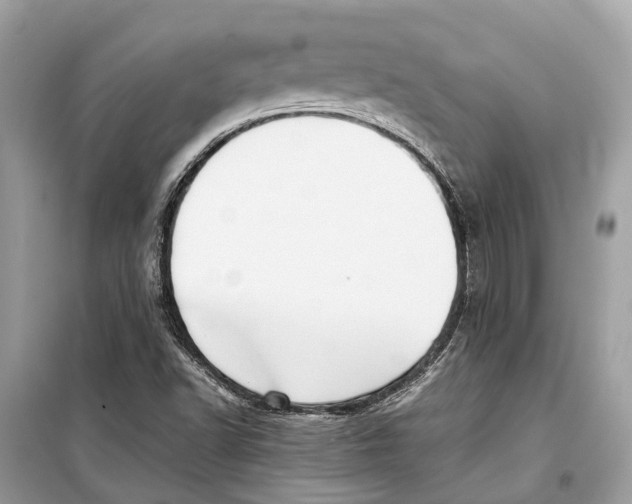 X0000099311502200805231352