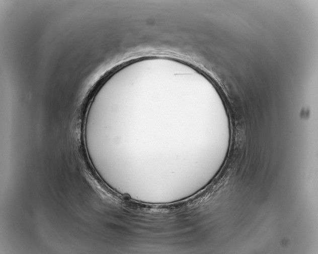 X0000099311503200805231352