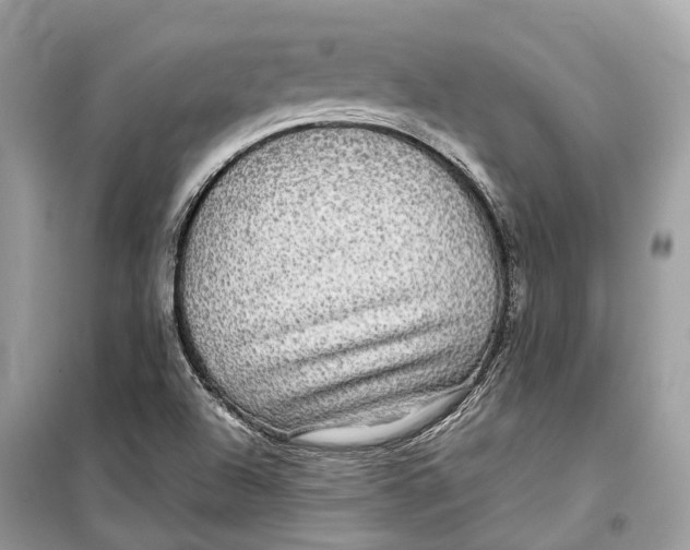 X0000099311504200805231352