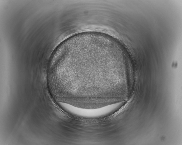 X0000099311505200805231352