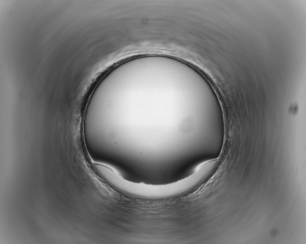 X0000099311507200805231352