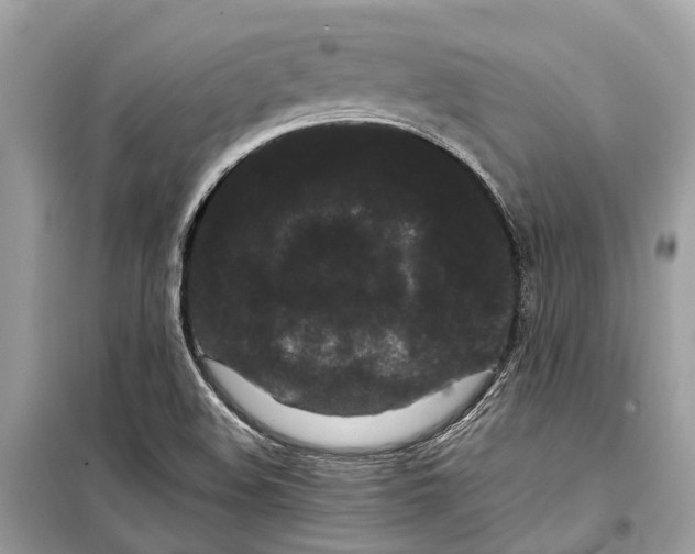 X0000099311508200805231352